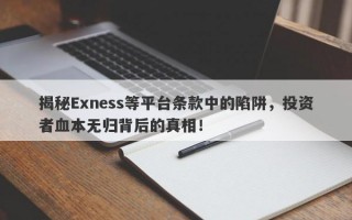 揭秘Exness等平台条款中的陷阱，投资者血本无归背后的真相！