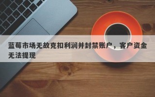 蓝莓市场无故克扣利润并封禁账户，客户资金无法提现