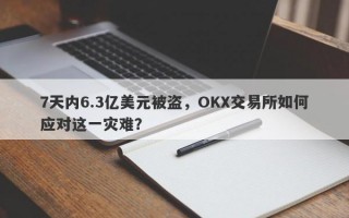 7天内6.3亿美元被盗，OKX交易所如何应对这一灾难？