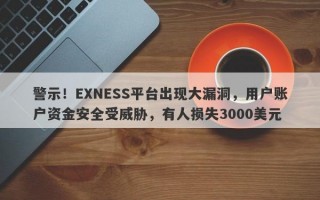 警示！EXNESS平台出现大漏洞，用户账户资金安全受威胁，有人损失3000美元