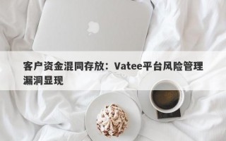 客户资金混同存放：Vatee平台风险管理漏洞显现