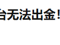 能做外汇软件开发公司？德璞是疯子还是天才？！