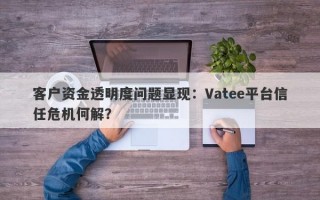 客户资金透明度问题显现：Vatee平台信任危机何解？