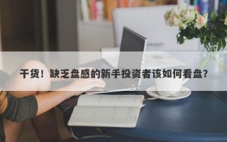 干货！缺乏盘感的新手投资者该如何看盘？