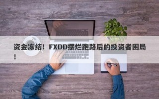 资金冻结！FXDD摆烂跑路后的投资者困局！