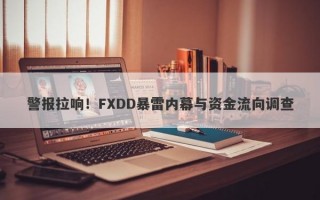 警报拉响！FXDD暴雷内幕与资金流向调查