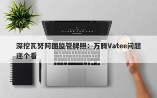 深挖瓦努阿图监管牌照：万腾Vatee问题逐个看