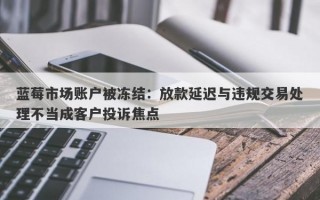 蓝莓市场账户被冻结：放款延迟与违规交易处理不当成客户投诉焦点