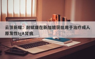 云顶新耀：耐赋康在新加坡获批用于治疗成人原发性IgA肾病