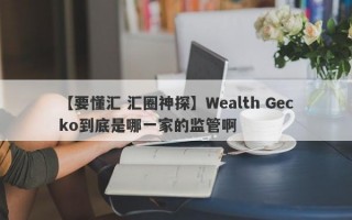 【要懂汇 汇圈神探】Wealth Gecko到底是哪一家的监管啊
