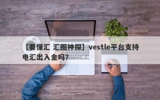 【要懂汇 汇圈神探】vestle平台支持电汇出入金吗？
