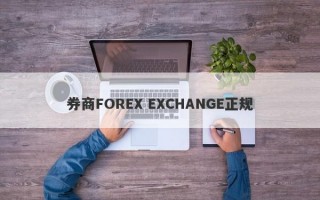 券商FOREX EXCHANGE正规