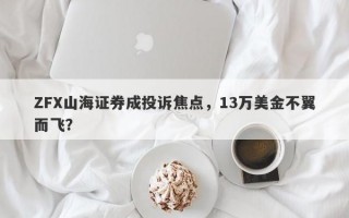 ZFX山海证券成投诉焦点，13万美金不翼而飞？