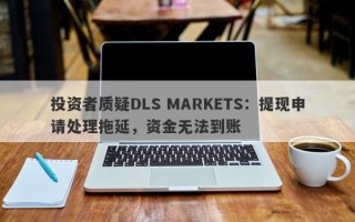 投资者质疑DLS MARKETS：提现申请处理拖延，资金无法到账