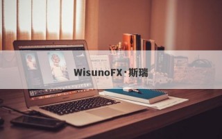 WisunoFX·斯瑞