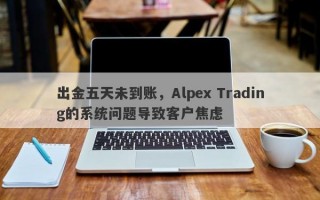 出金五天未到账，Alpex Trading的系统问题导致客户焦虑