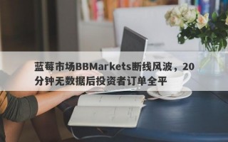 蓝莓市场BBMarkets断线风波，20分钟无数据后投资者订单全平