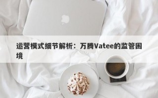 运营模式细节解析：万腾Vatee的监管困境