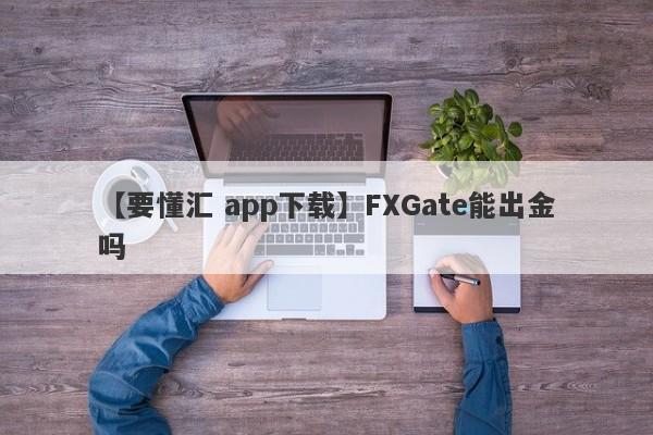 【要懂汇 app下载】FXGate能出金吗
-第1张图片-要懂汇圈网