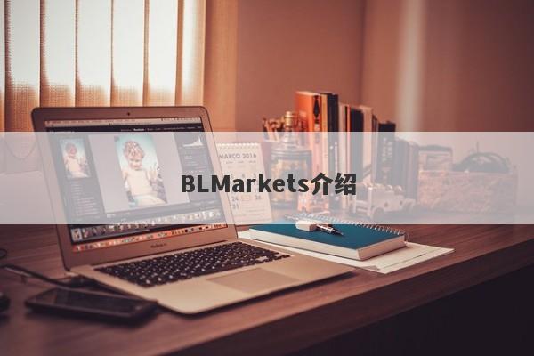 BLMarkets介绍-第1张图片-要懂汇圈网