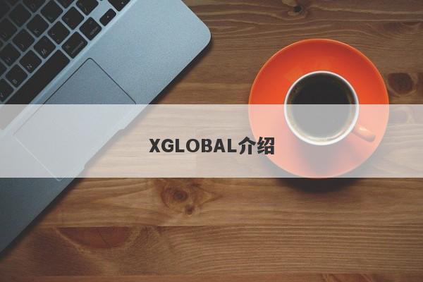 XGLOBAL介绍-第1张图片-要懂汇圈网