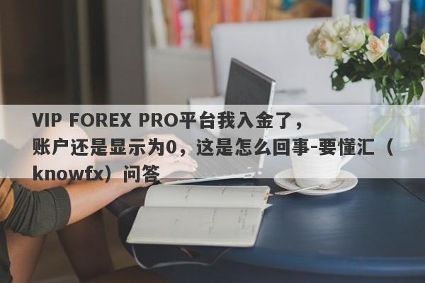 VIP FOREX PRO平台我入金了，账户还是显示为0，这是怎么回事-要懂汇（knowfx）问答-第1张图片-要懂汇圈网