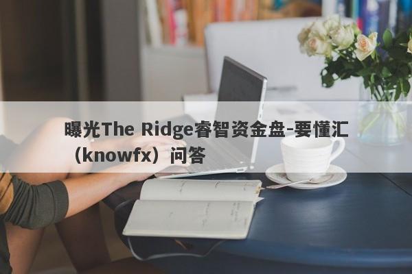 曝光The Ridge睿智资金盘-要懂汇（knowfx）问答-第1张图片-要懂汇圈网