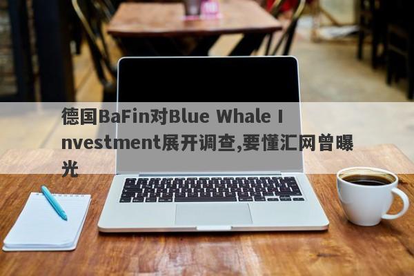 德国BaFin对Blue Whale Investment展开调查,要懂汇网曾曝光-第1张图片-要懂汇圈网