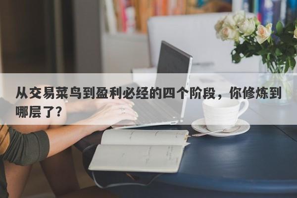 从交易菜鸟到盈利必经的四个阶段，你修炼到哪层了？-第1张图片-要懂汇圈网