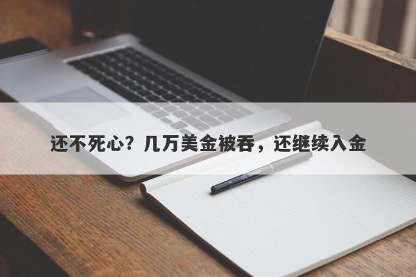 还不死心？几万美金被吞，还继续入金-第1张图片-要懂汇圈网