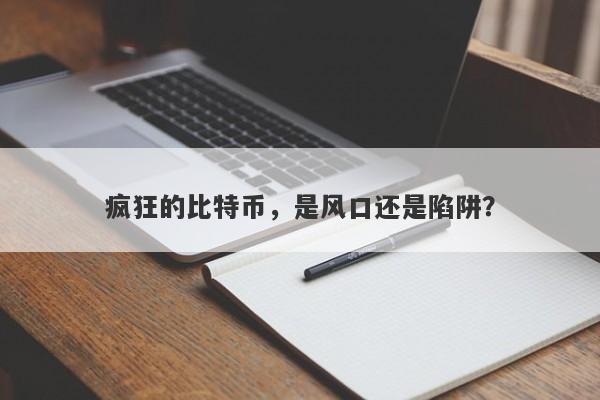 疯狂的比特币，是风口还是陷阱？-第1张图片-要懂汇圈网