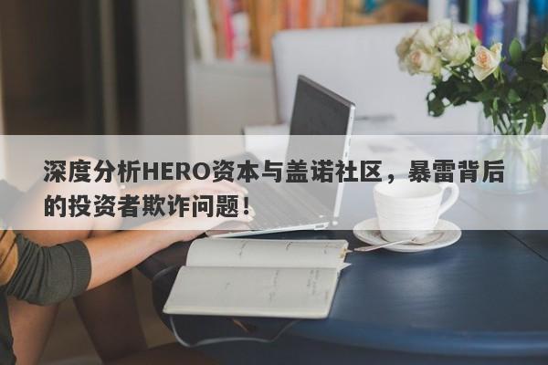 深度分析HERO资本与盖诺社区，暴雷背后的投资者欺诈问题！-第1张图片-要懂汇圈网