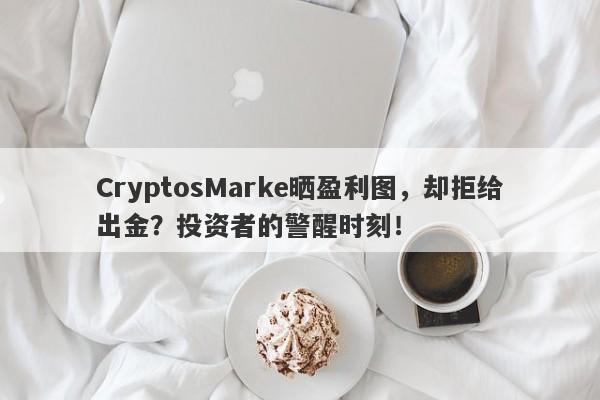 CryptosMarke晒盈利图，却拒给出金？投资者的警醒时刻！-第1张图片-要懂汇圈网