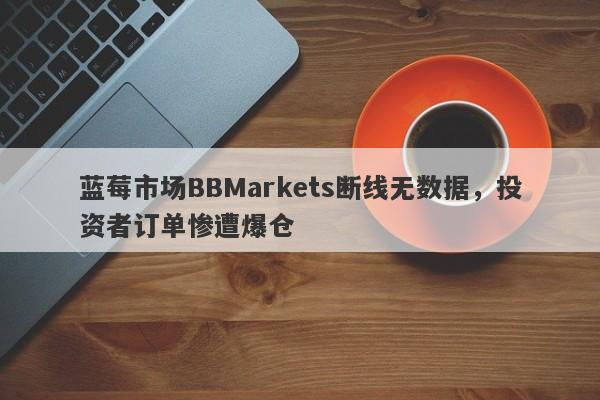 蓝莓市场BBMarkets断线无数据，投资者订单惨遭爆仓-第1张图片-要懂汇圈网