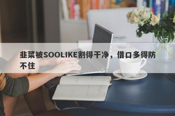 韭菜被SOOLIKE割得干净，借口多得防不住-第1张图片-要懂汇圈网