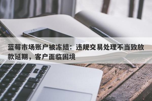 蓝莓市场账户被冻结：违规交易处理不当致放款延期，客户面临困境-第1张图片-要懂汇圈网