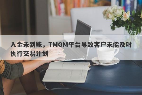 入金未到账，TMGM平台导致客户未能及时执行交易计划-第1张图片-要懂汇圈网