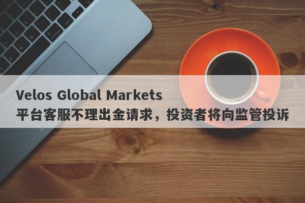 Velos Global Markets平台客服不理出金请求，投资者将向监管投诉-第1张图片-要懂汇圈网