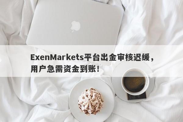 ExenMarkets平台出金审核迟缓，用户急需资金到账！-第1张图片-要懂汇圈网